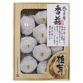 啪ő_Ƌg 啪Yő () i (IP-30)